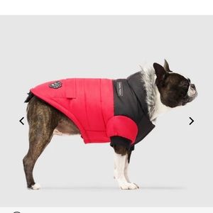 Canada Pooch True North Parka
